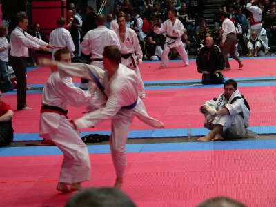 Samstag, 27.03.10. Karate Europameisterschaft in Bochum.